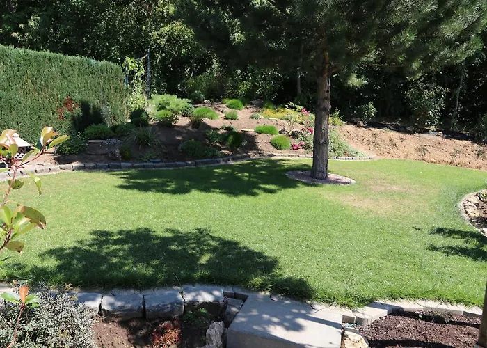 Duft- Und Parfuemfreie Allergiker-fewo